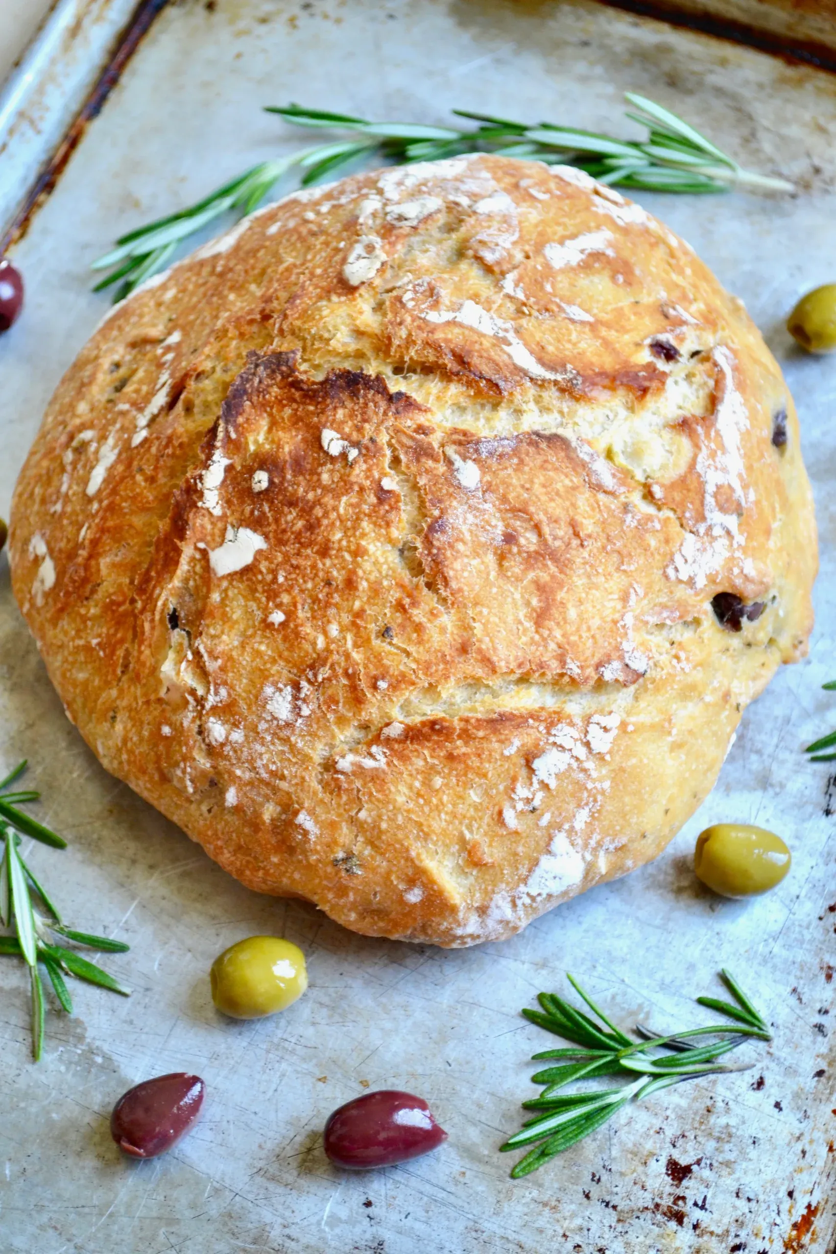 Rosemary green and black olive bread