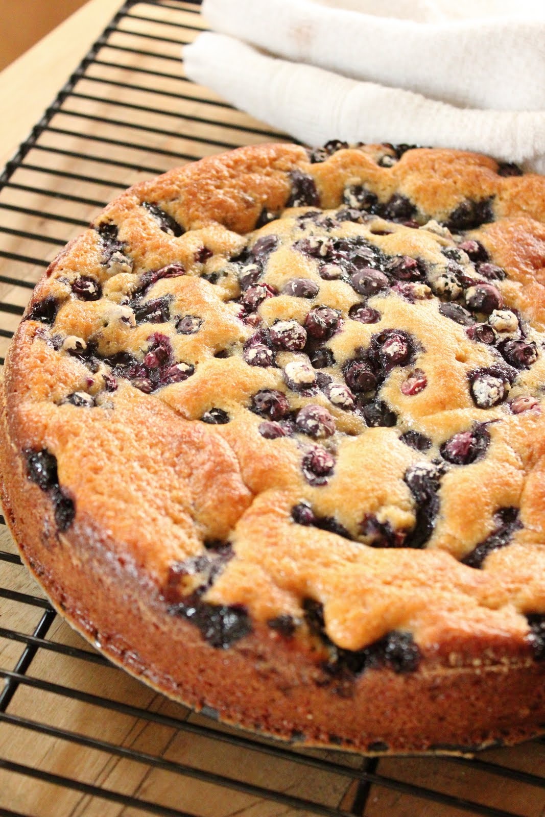 Blueberry Ricotta Breakfast Cake