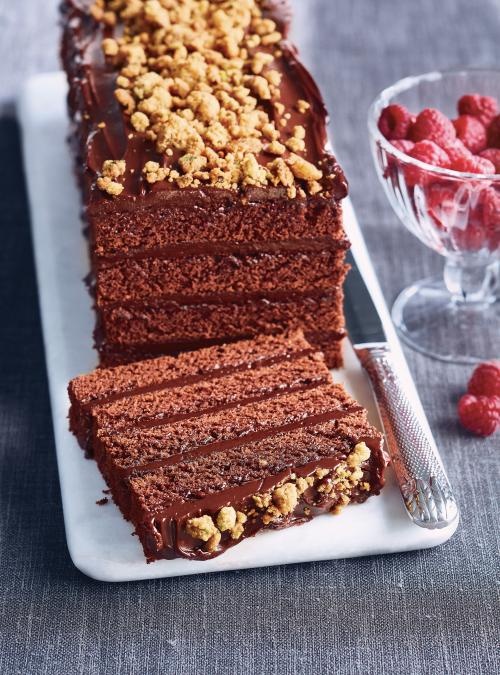 Four Layer Chocolate Log